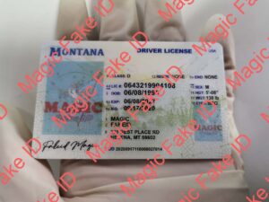 Montana Driver License